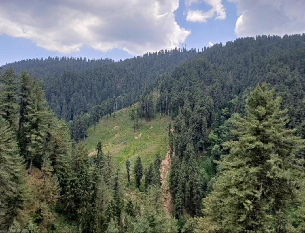 The Heritage Home Kasauli I Pine View Serviced Villa I Best Seller I Vacations I Family Events I Sky Bonfire I Kasauli By Exotic Stays Exterior foto